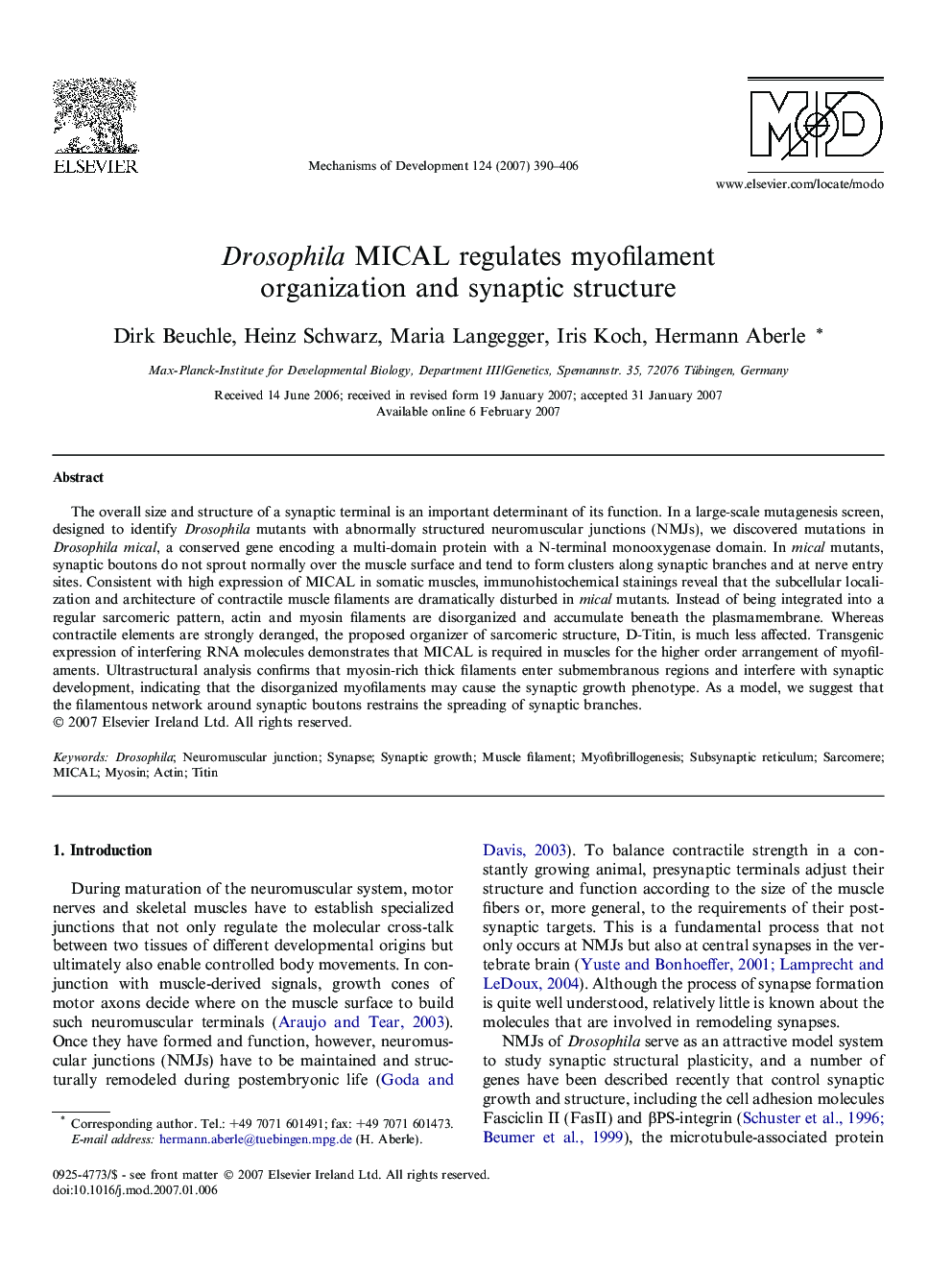 Drosophila MICAL regulates myofilament organization and synaptic structure