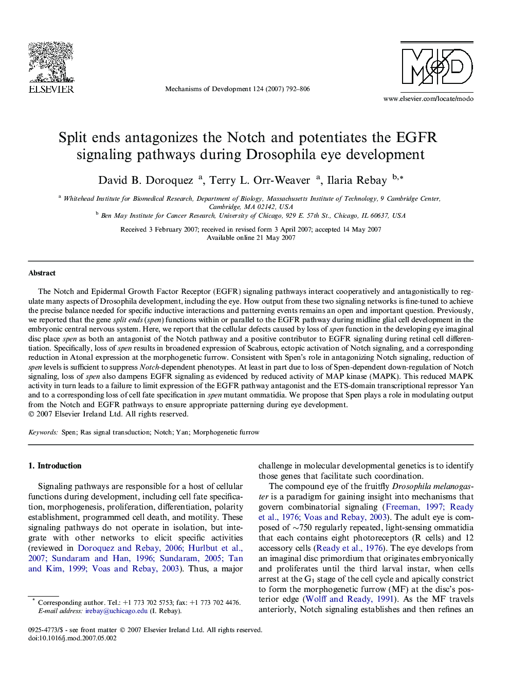 Split ends antagonizes the Notch and potentiates the EGFR signaling pathways during Drosophila eye development