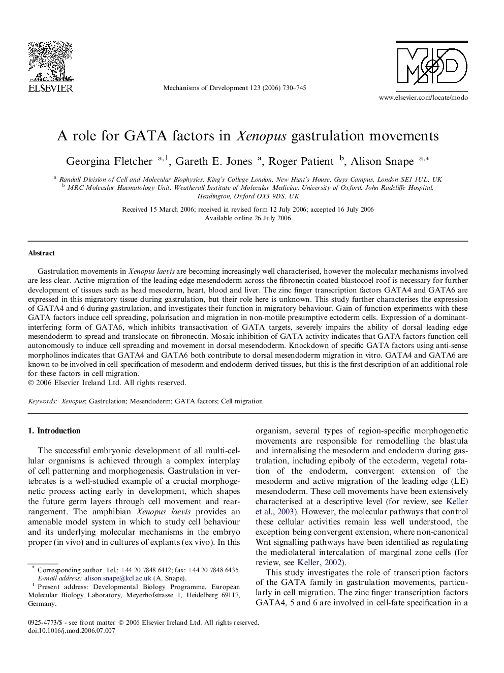 A role for GATA factors in Xenopus gastrulation movements