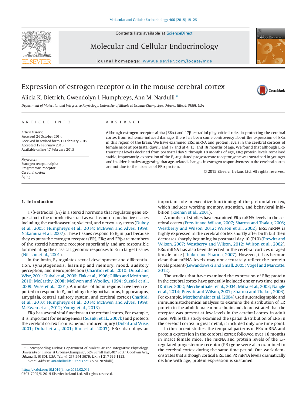 Expression of estrogen receptor α in the mouse cerebral cortex