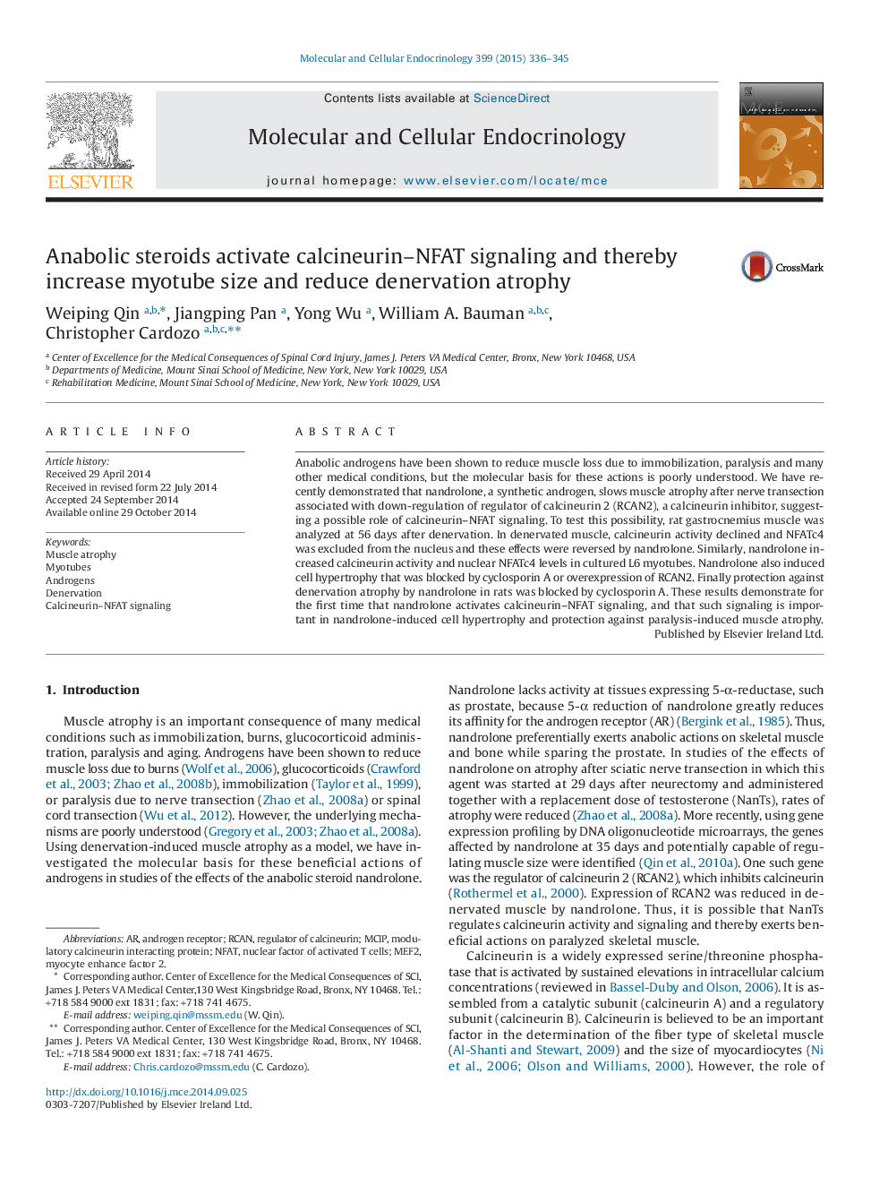 Anabolic steroids activate calcineurin–NFAT signaling and thereby increase myotube size and reduce denervation atrophy