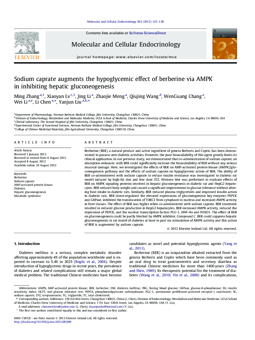 Sodium caprate augments the hypoglycemic effect of berberine via AMPK in inhibiting hepatic gluconeogenesis