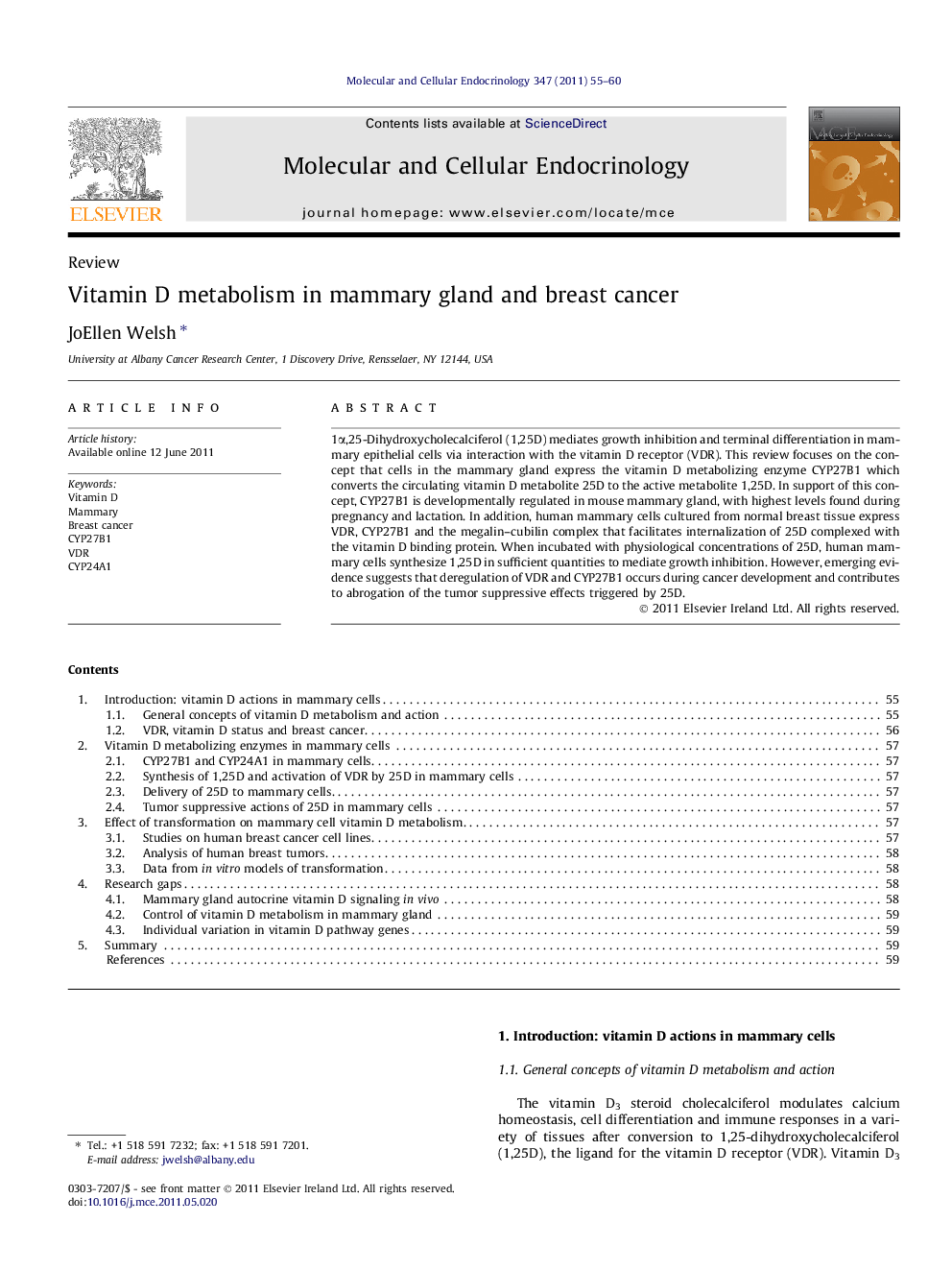 Vitamin D metabolism in mammary gland and breast cancer