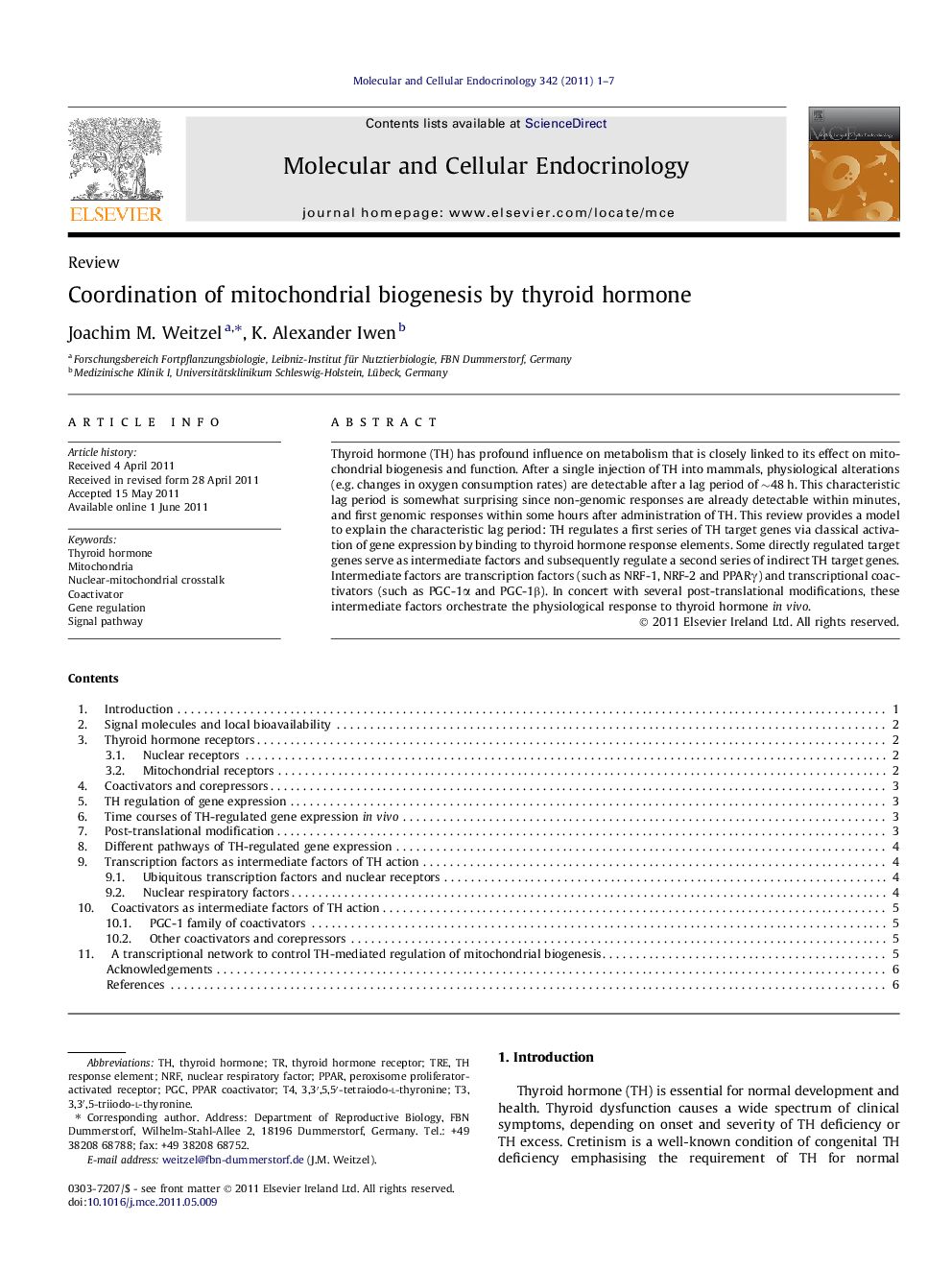 Coordination of mitochondrial biogenesis by thyroid hormone