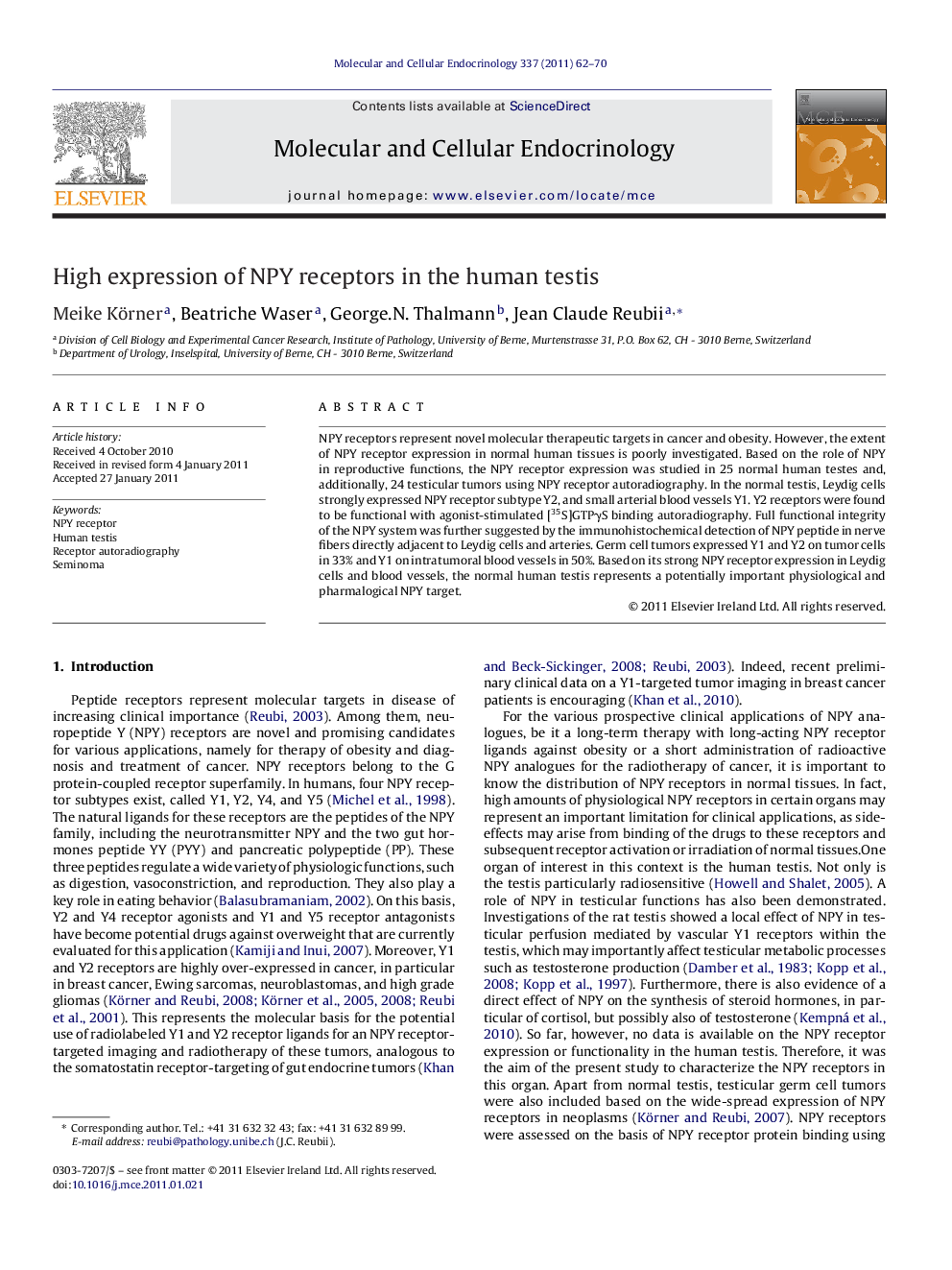 High expression of NPY receptors in the human testis