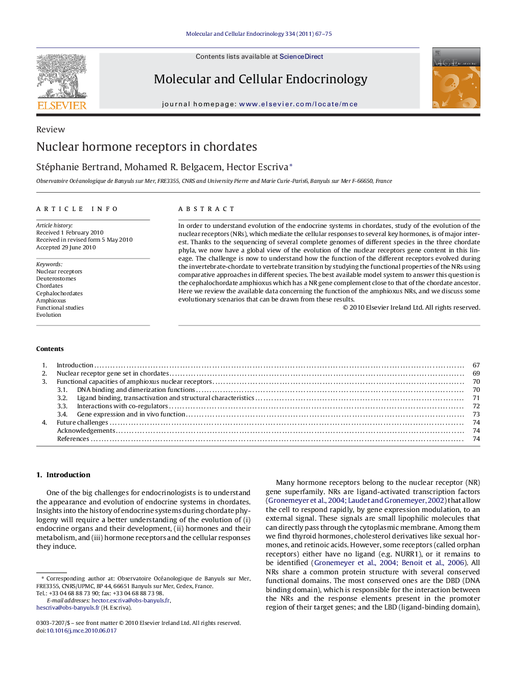 Nuclear hormone receptors in chordates