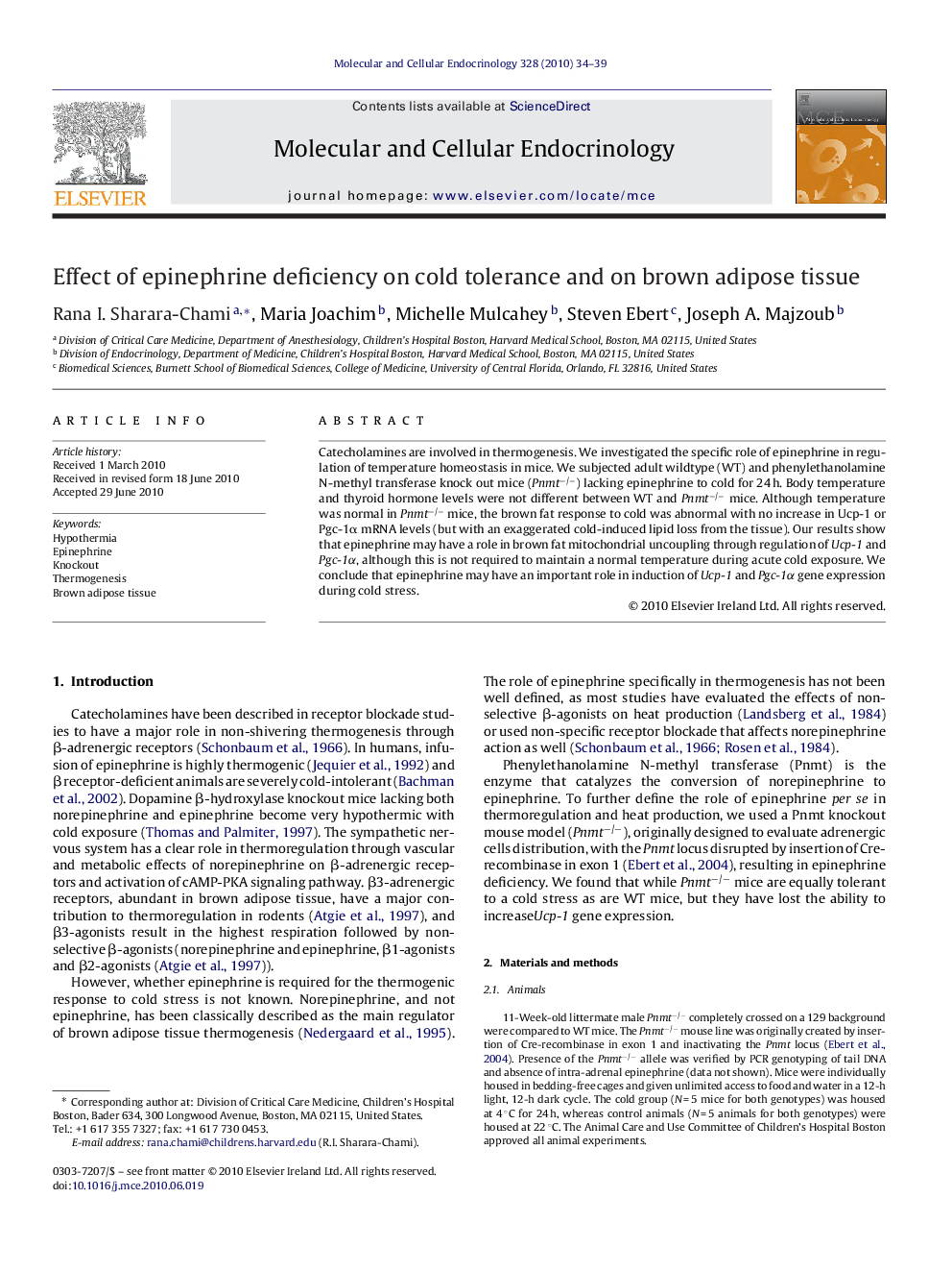 Effect of epinephrine deficiency on cold tolerance and on brown adipose tissue