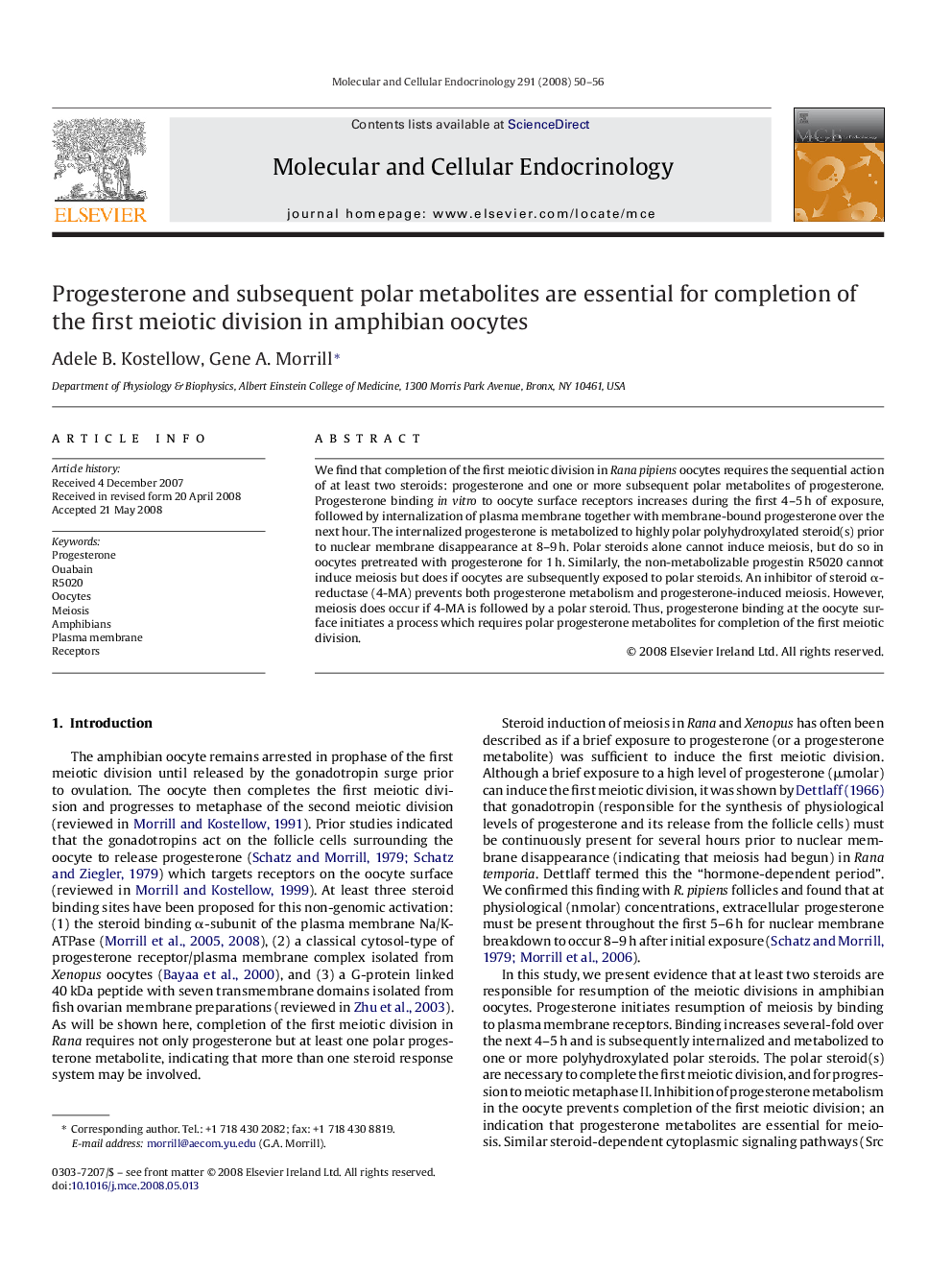 Progesterone and subsequent polar metabolites are essential for completion of the first meiotic division in amphibian oocytes