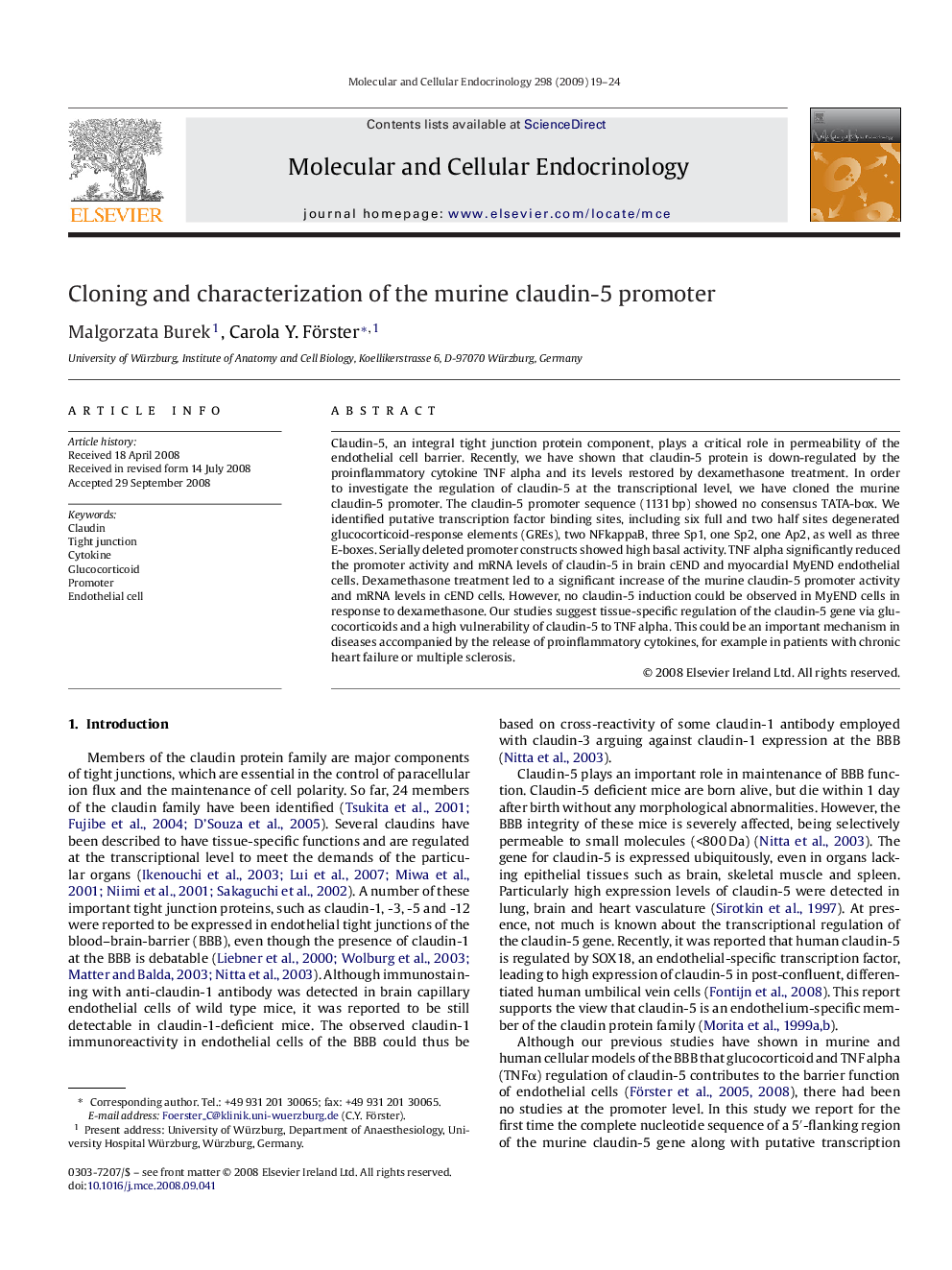 Cloning and characterization of the murine claudin-5 promoter