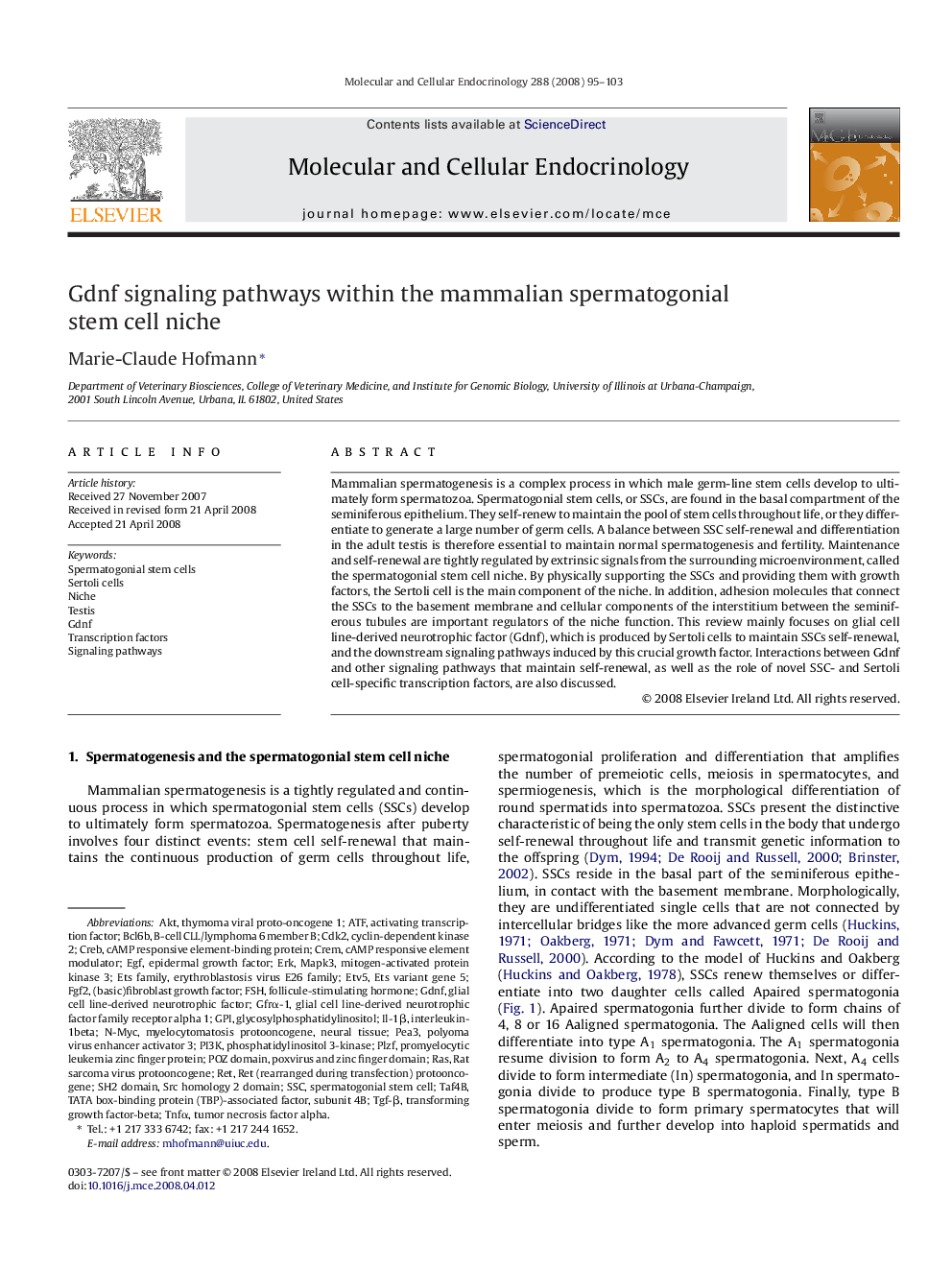 Gdnf signaling pathways within the mammalian spermatogonial stem cell niche