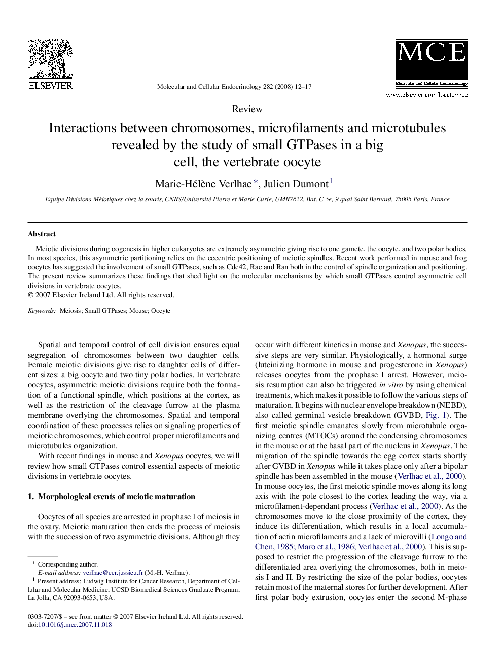 Interactions between chromosomes, microfilaments and microtubules revealed by the study of small GTPases in a big cell, the vertebrate oocyte