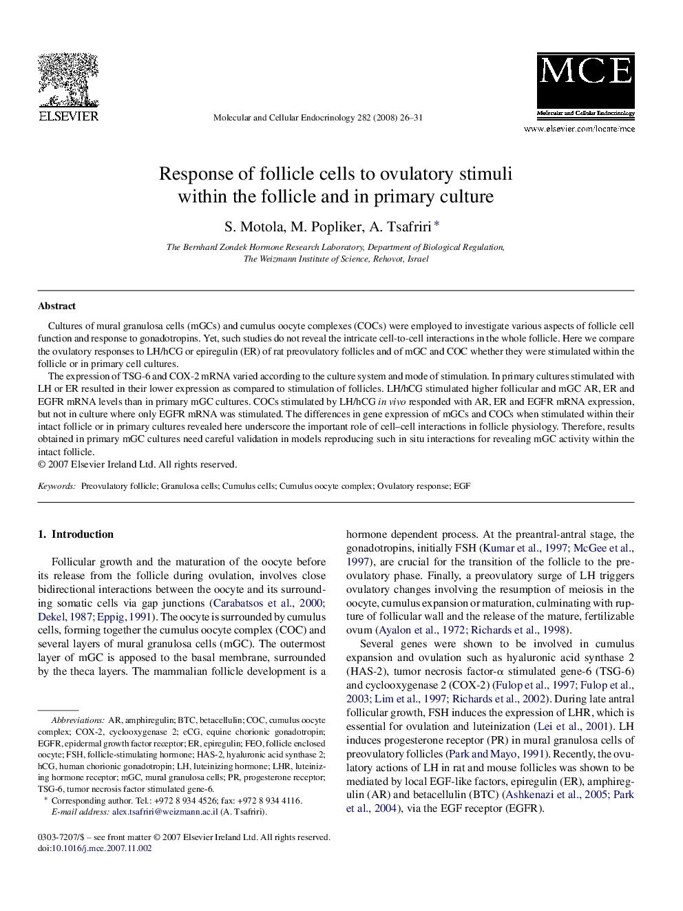 Response of follicle cells to ovulatory stimuli within the follicle and in primary culture