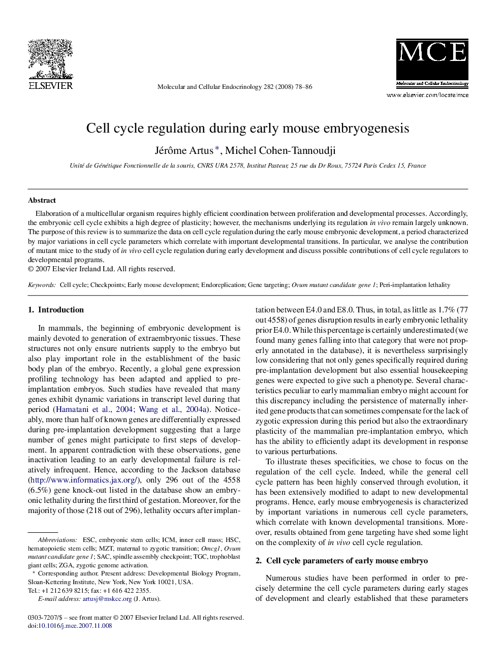 Cell cycle regulation during early mouse embryogenesis