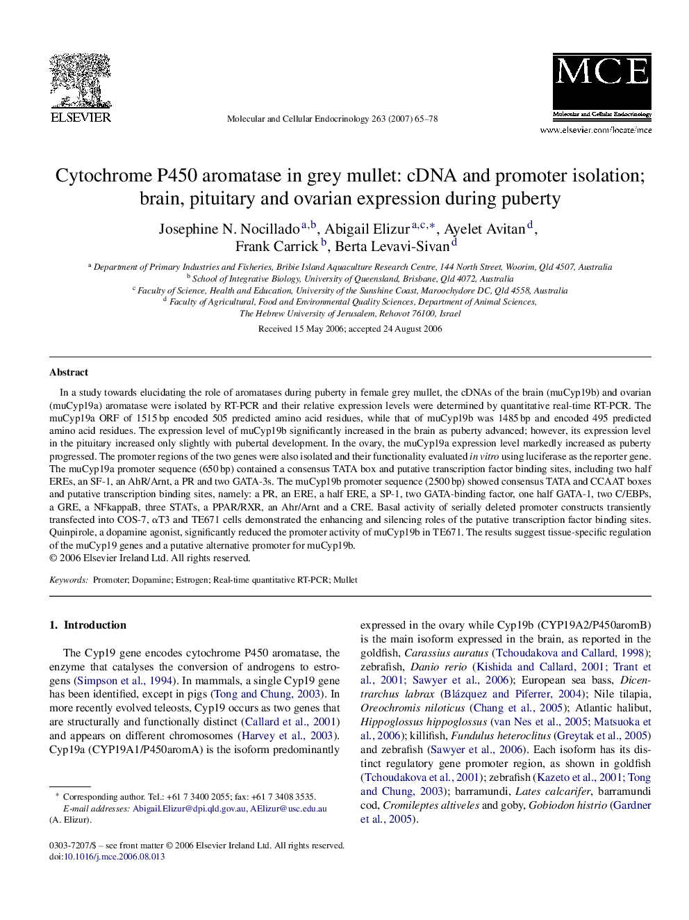 Cytochrome P450 aromatase in grey mullet: cDNA and promoter isolation; brain, pituitary and ovarian expression during puberty