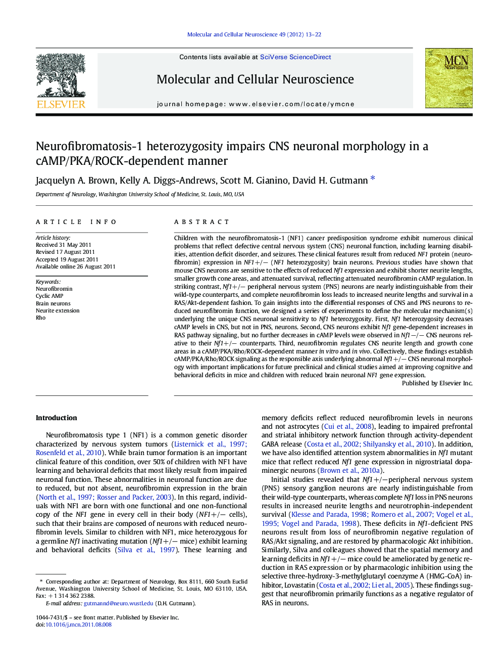 Neurofibromatosis-1 heterozygosity impairs CNS neuronal morphology in a cAMP/PKA/ROCK-dependent manner