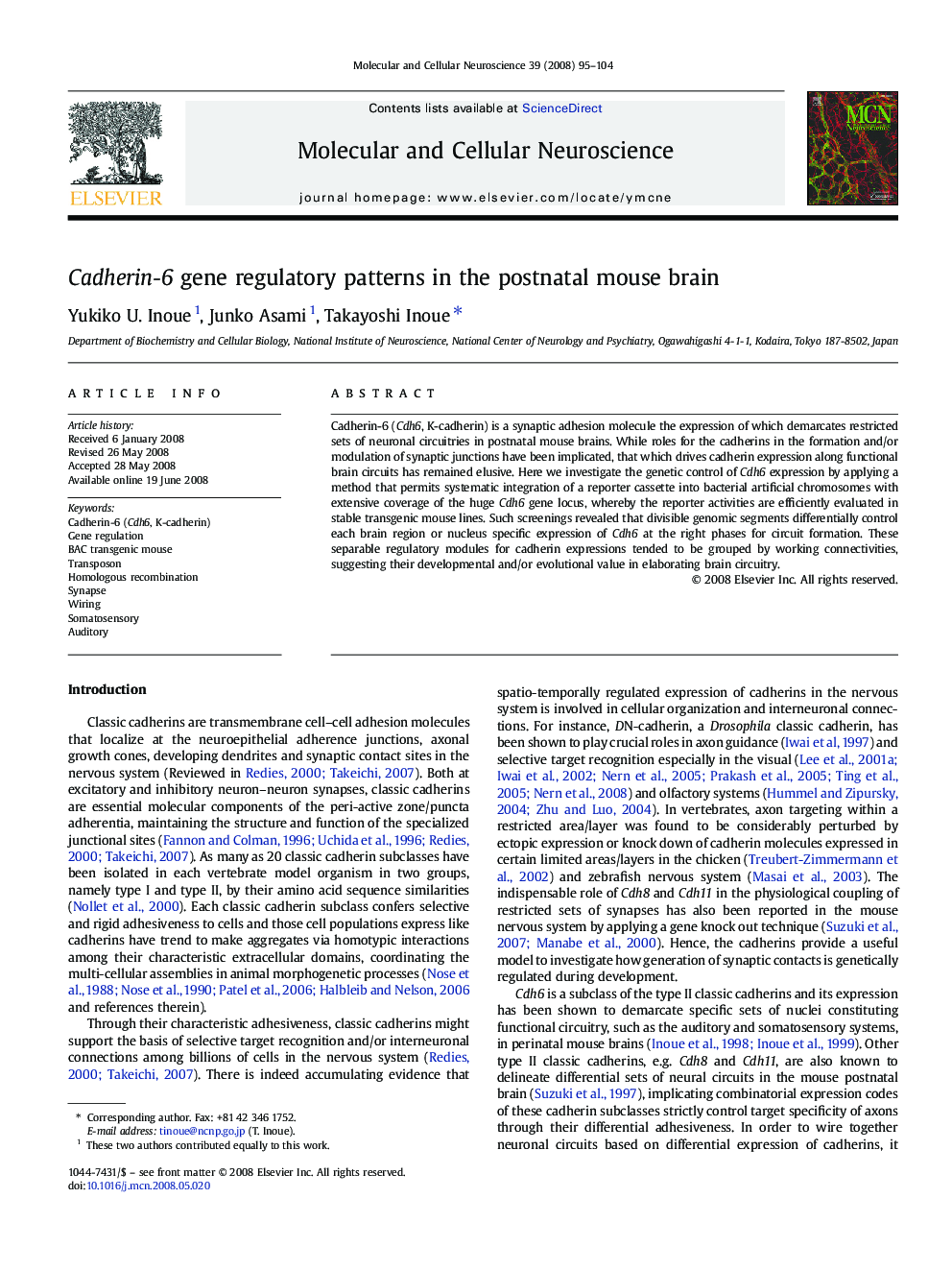 Cadherin-6 gene regulatory patterns in the postnatal mouse brain