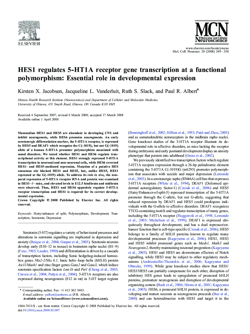HES1 regulates 5-HT1A receptor gene transcription at a functional polymorphism: Essential role in developmental expression