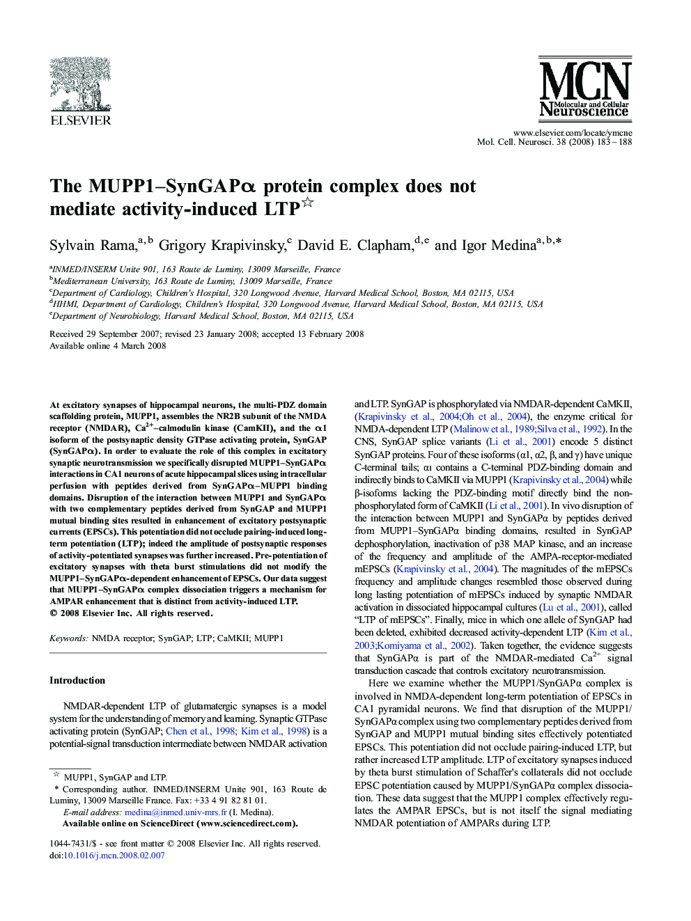 The MUPP1–SynGAPα protein complex does not mediate activity-induced LTP 