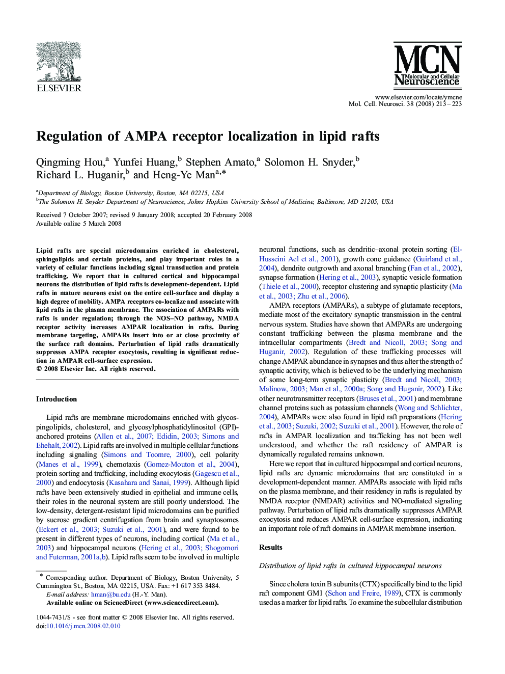 Regulation of AMPA receptor localization in lipid rafts