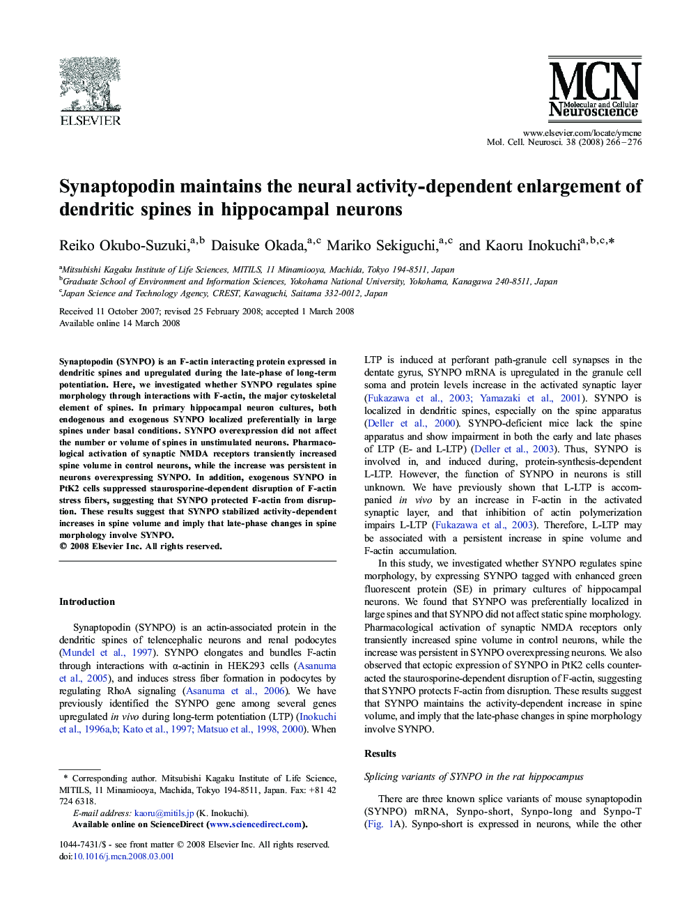 Synaptopodin maintains the neural activity-dependent enlargement of dendritic spines in hippocampal neurons