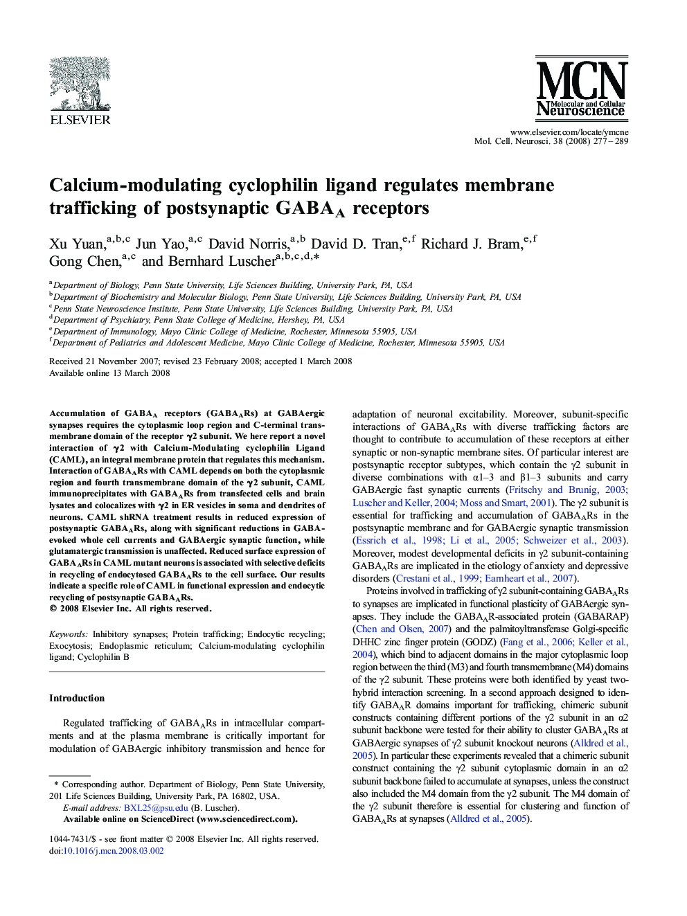 Calcium-modulating cyclophilin ligand regulates membrane trafficking of postsynaptic GABAA receptors