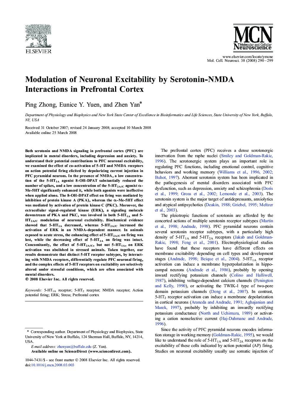 Modulation of Neuronal Excitability by Serotonin-NMDA Interactions in Prefrontal Cortex
