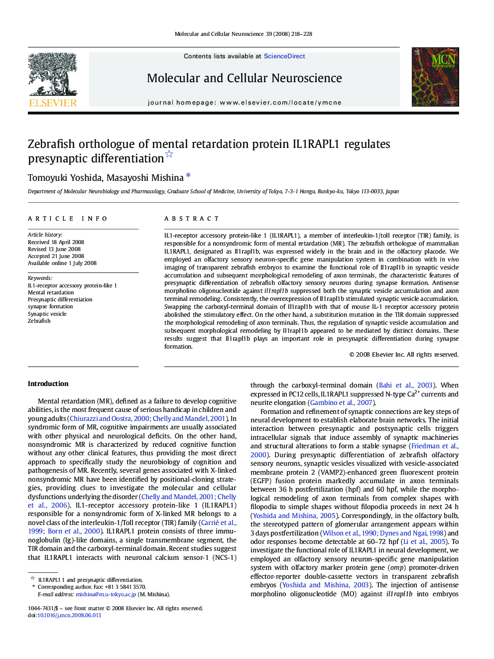 Zebrafish orthologue of mental retardation protein IL1RAPL1 regulates presynaptic differentiation 