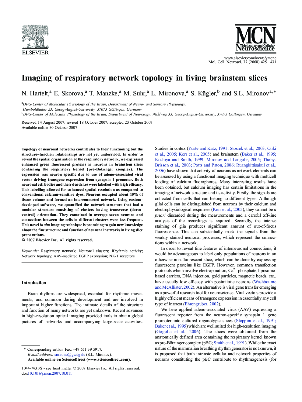 Imaging of respiratory network topology in living brainstem slices