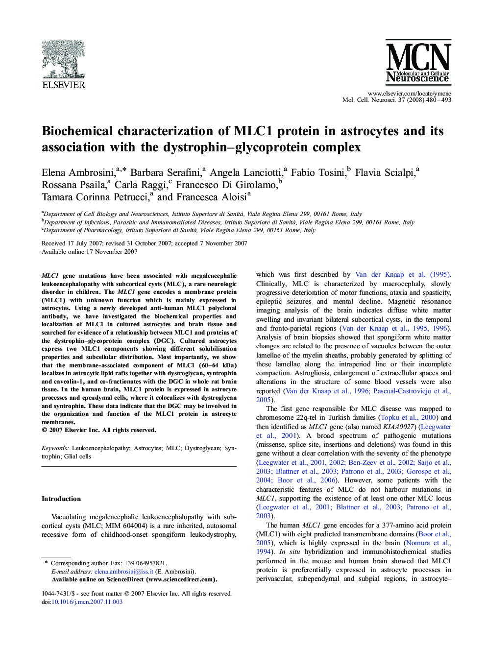 Biochemical characterization of MLC1 protein in astrocytes and its association with the dystrophin–glycoprotein complex