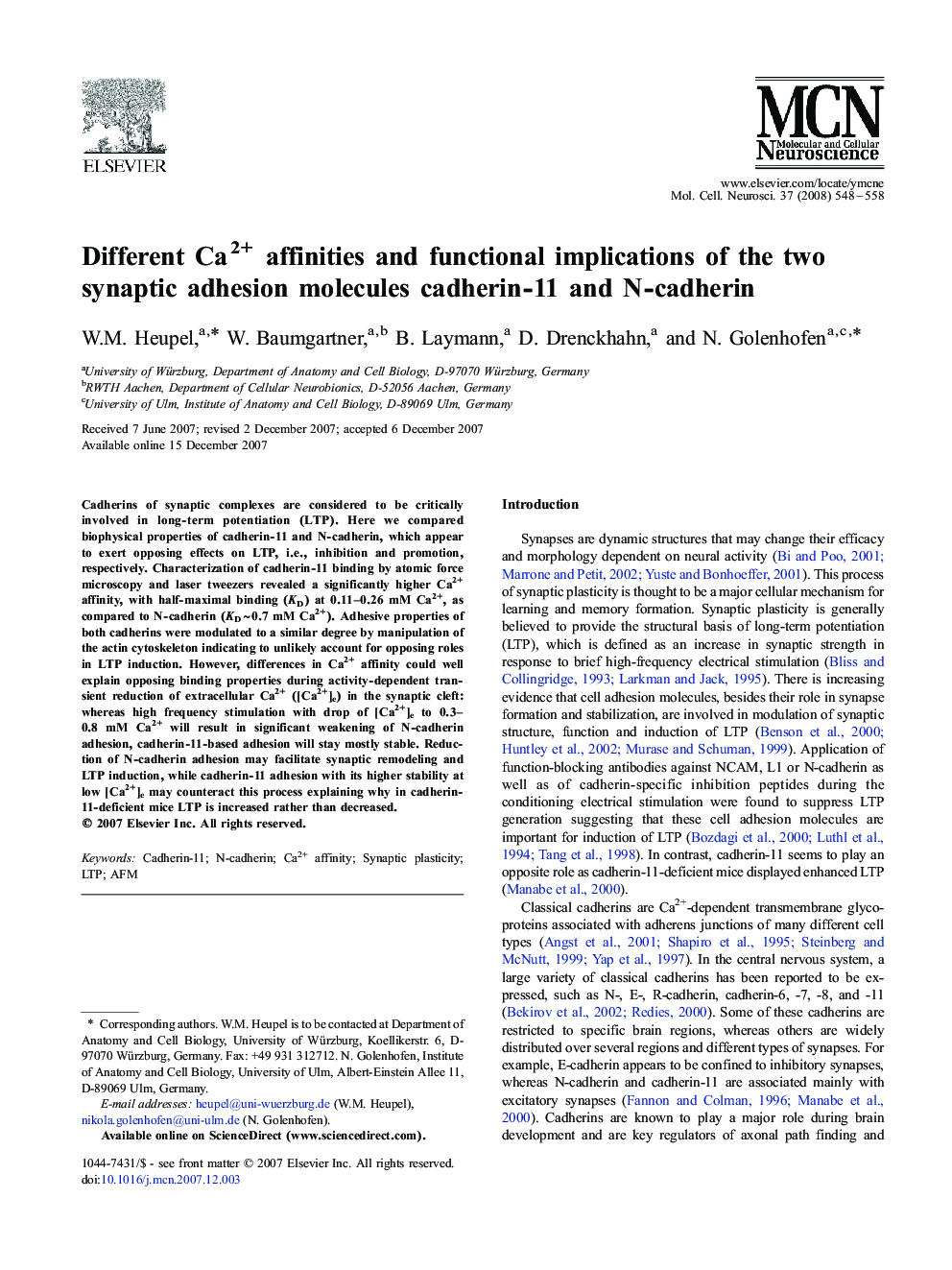 Different Ca2+ affinities and functional implications of the two synaptic adhesion molecules cadherin-11 and N-cadherin