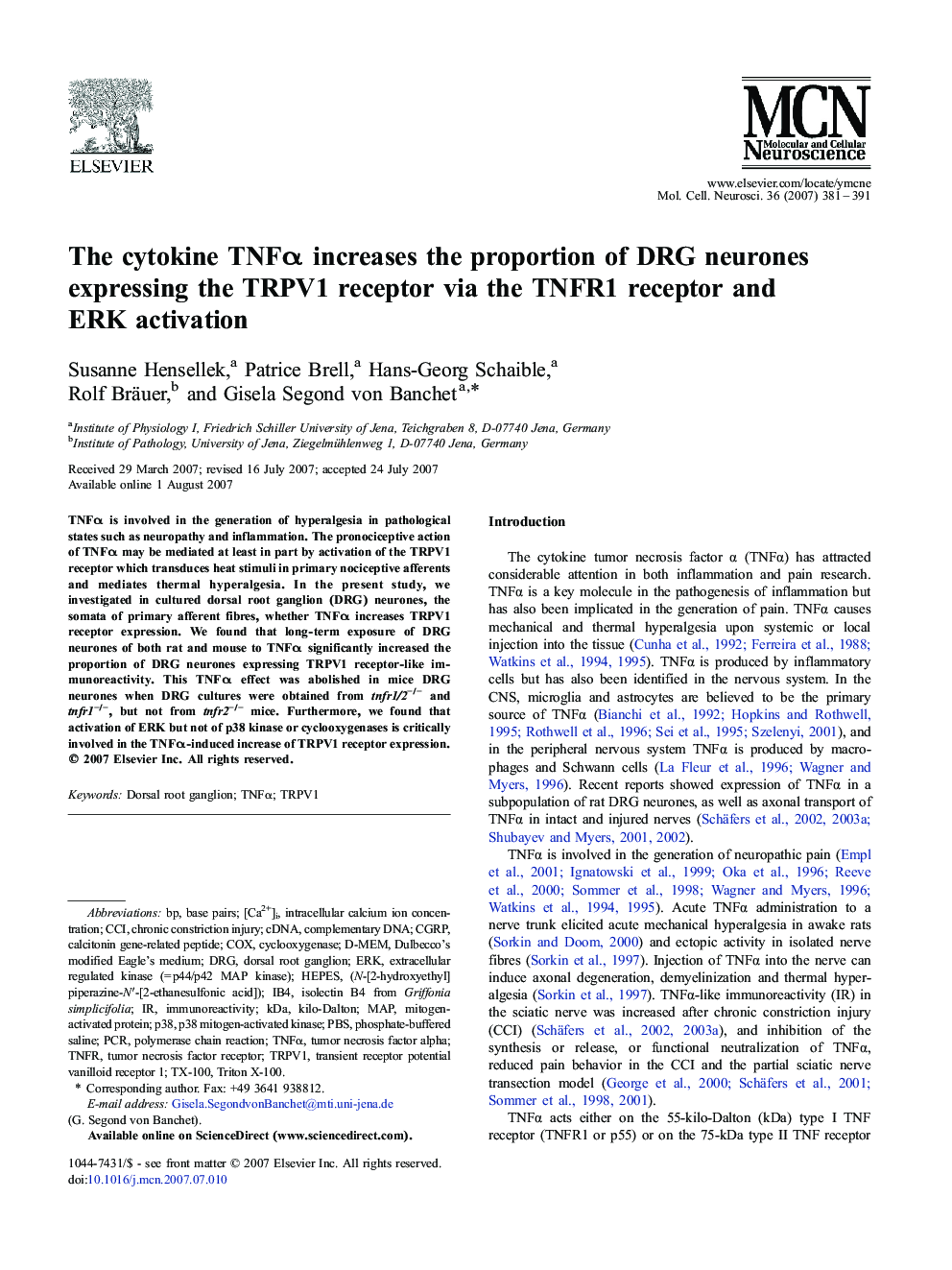 The cytokine TNFα increases the proportion of DRG neurones expressing the TRPV1 receptor via the TNFR1 receptor and ERK activation