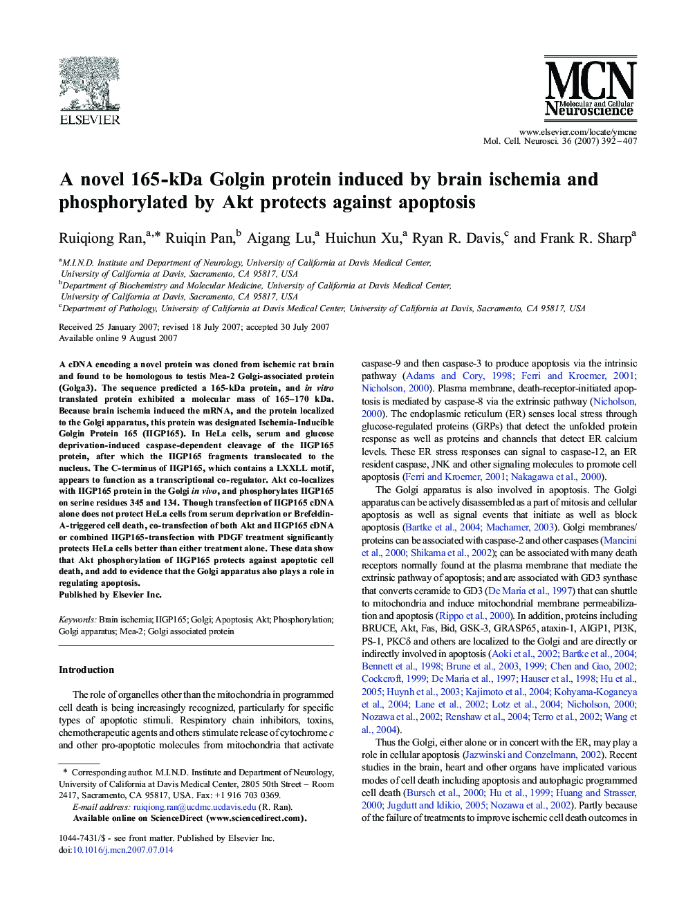 A novel 165-kDa Golgin protein induced by brain ischemia and phosphorylated by Akt protects against apoptosis
