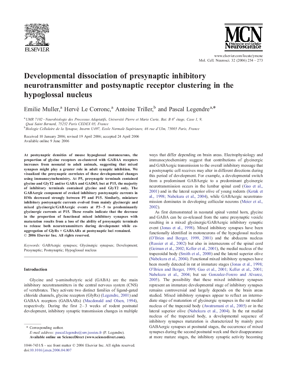 Developmental dissociation of presynaptic inhibitory neurotransmitter and postsynaptic receptor clustering in the hypoglossal nucleus