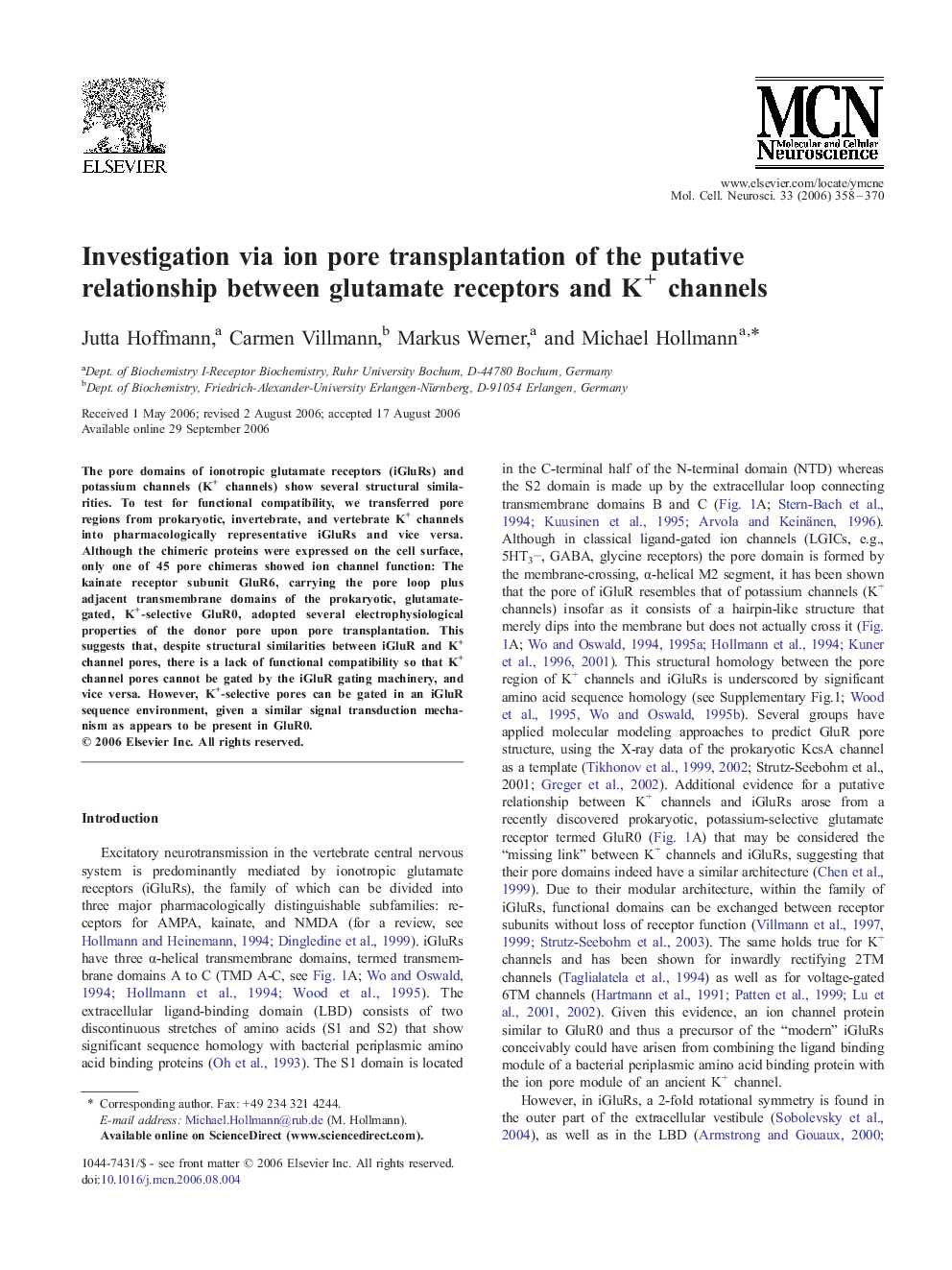 Investigation via ion pore transplantation of the putative relationship between glutamate receptors and K+ channels