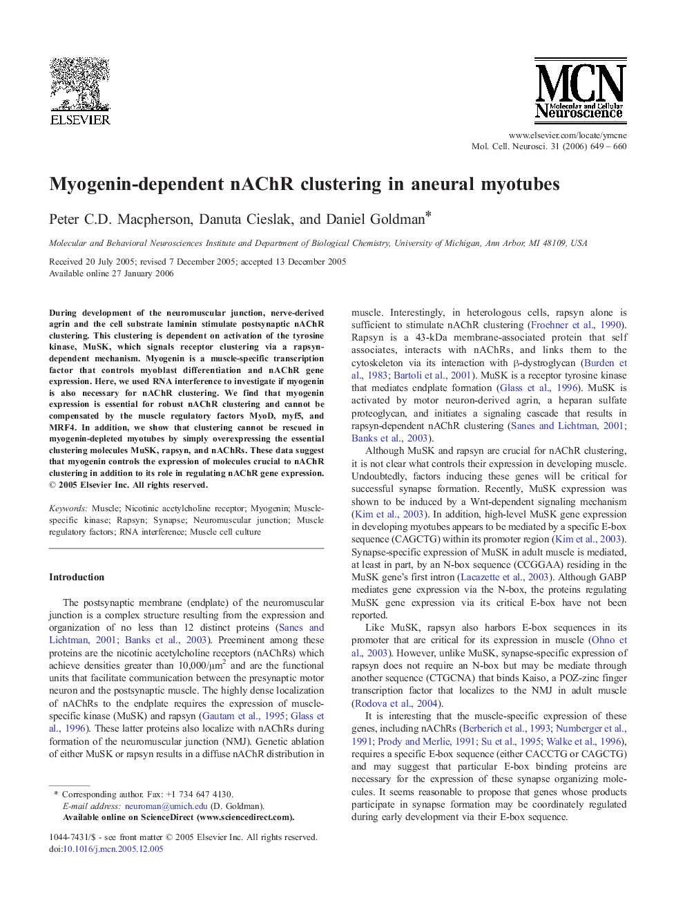 Myogenin-dependent nAChR clustering in aneural myotubes