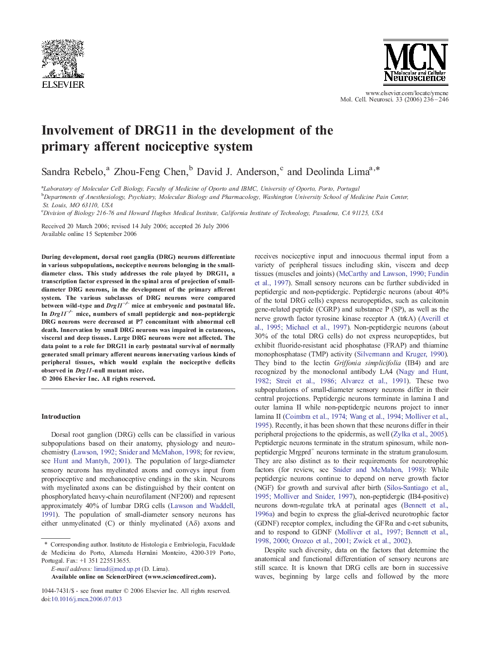 Involvement of DRG11 in the development of the primary afferent nociceptive system