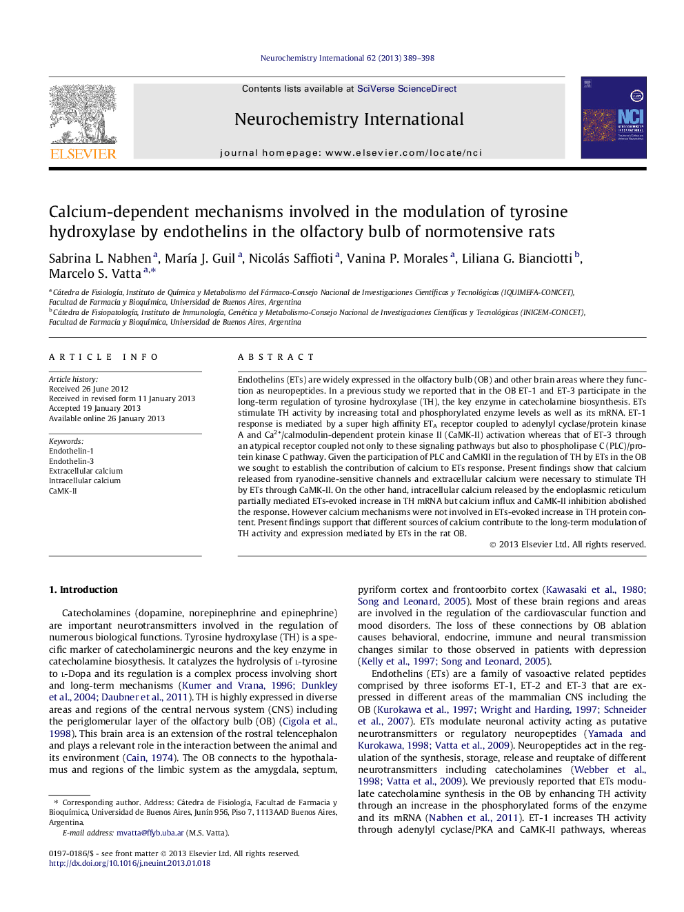 Calcium-dependent mechanisms involved in the modulation of tyrosine hydroxylase by endothelins in the olfactory bulb of normotensive rats