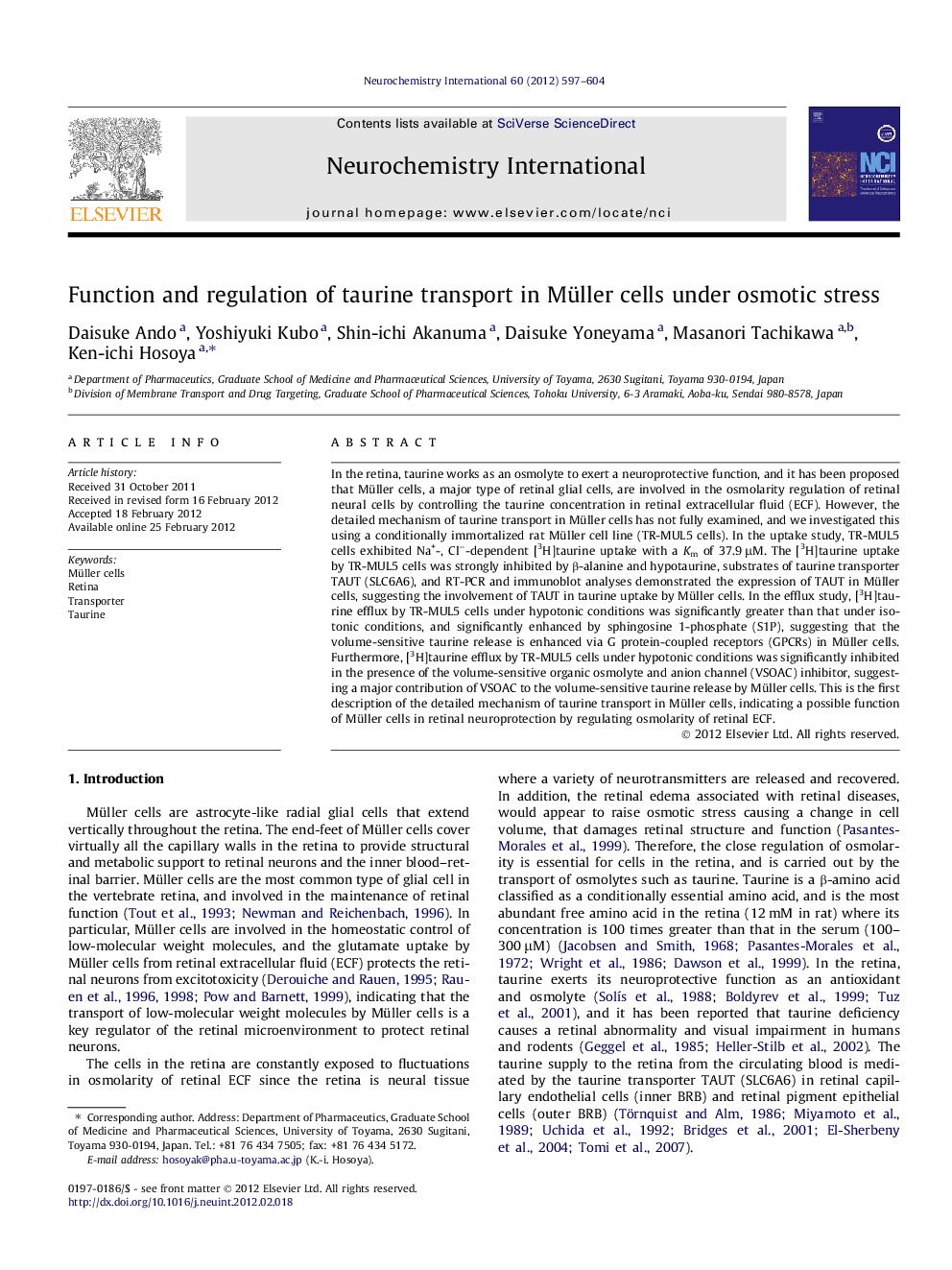 Function and regulation of taurine transport in Müller cells under osmotic stress