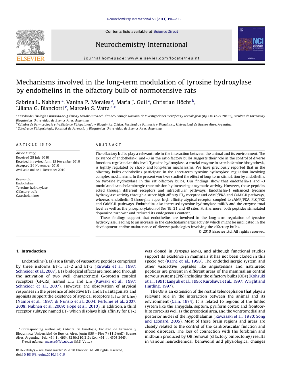 Mechanisms involved in the long-term modulation of tyrosine hydroxylase by endothelins in the olfactory bulb of normotensive rats