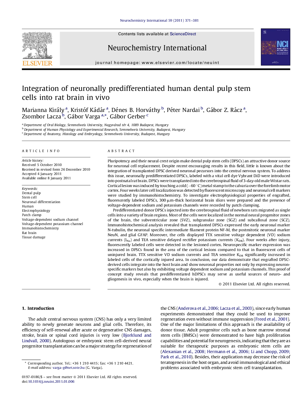 Integration of neuronally predifferentiated human dental pulp stem cells into rat brain in vivo