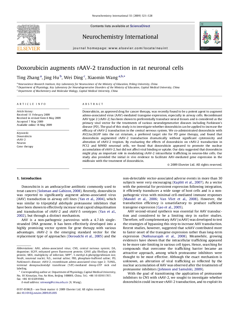 Doxorubicin augments rAAV-2 transduction in rat neuronal cells