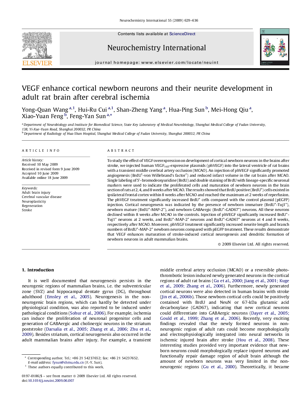 VEGF enhance cortical newborn neurons and their neurite development in adult rat brain after cerebral ischemia