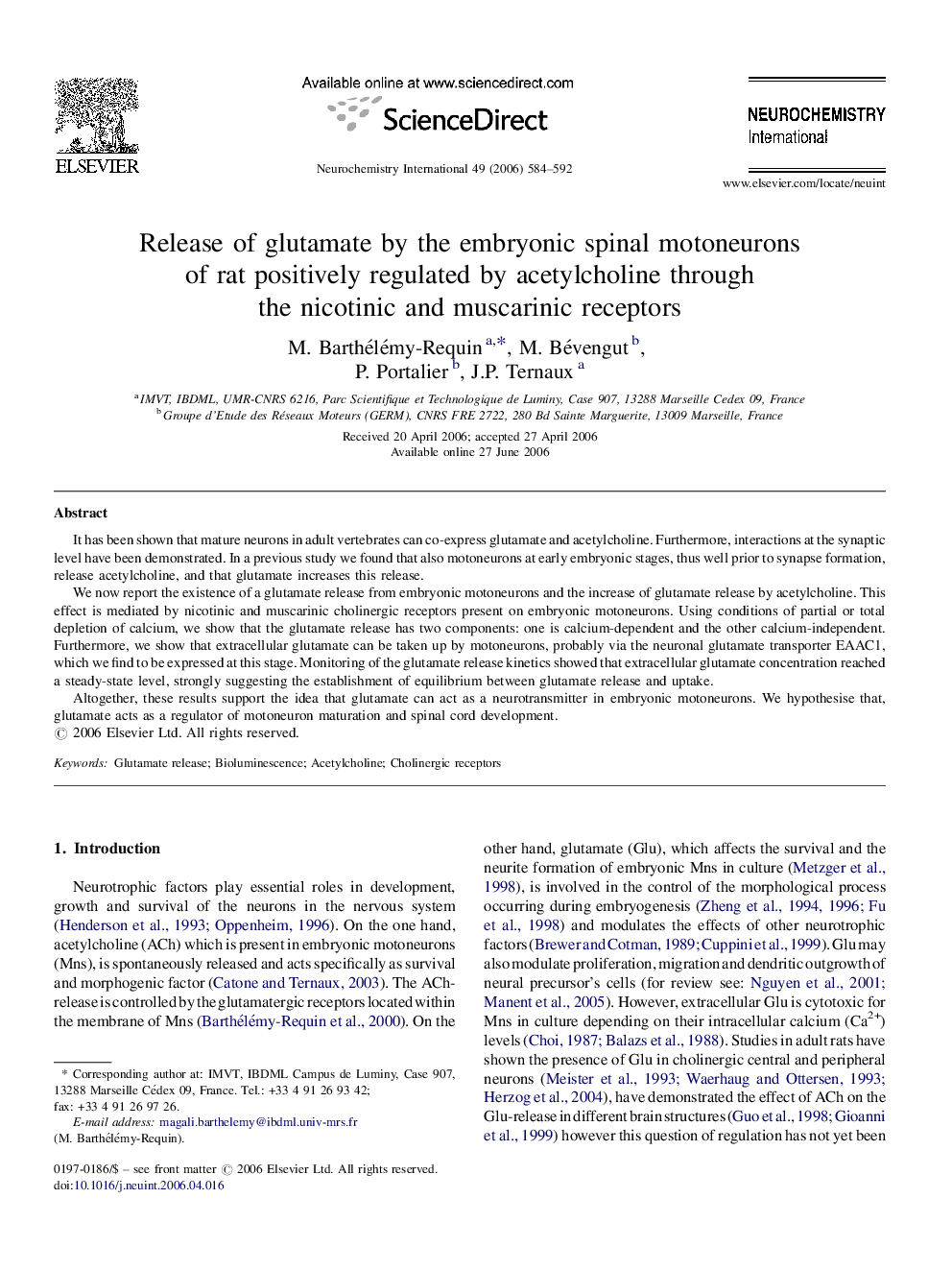 Release of glutamate by the embryonic spinal motoneurons of rat positively regulated by acetylcholine through the nicotinic and muscarinic receptors