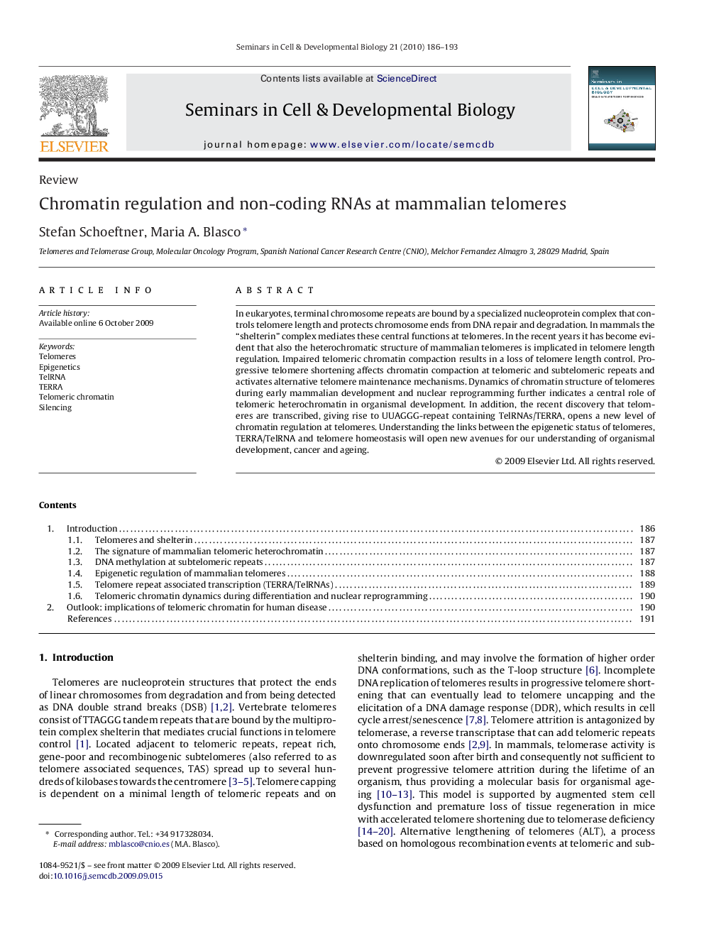 Chromatin regulation and non-coding RNAs at mammalian telomeres