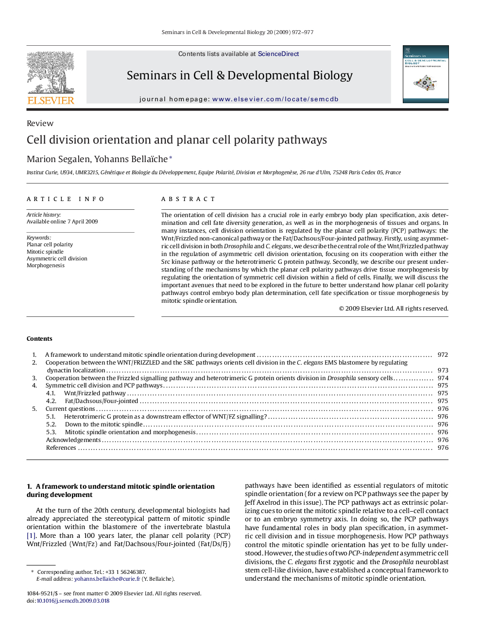 Cell division orientation and planar cell polarity pathways