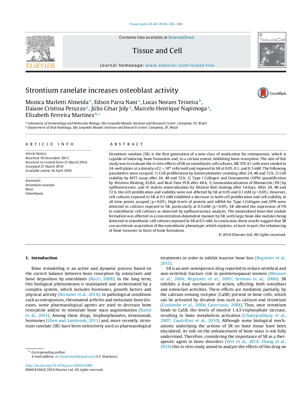 Strontium ranelate increases osteoblast activity