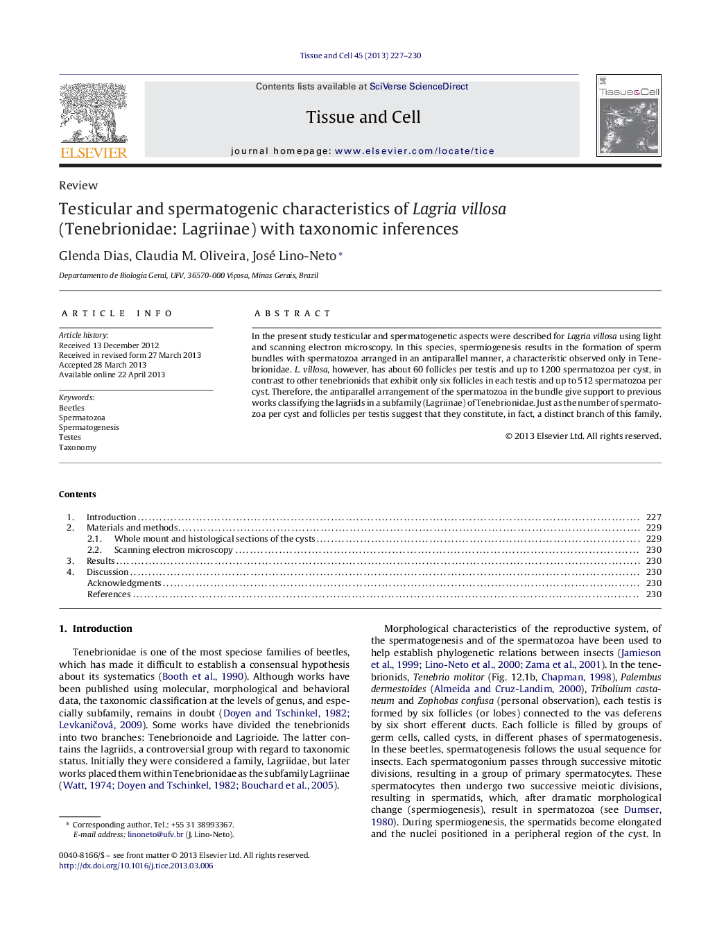 Testicular and spermatogenic characteristics of Lagria villosa (Tenebrionidae: Lagriinae) with taxonomic inferences