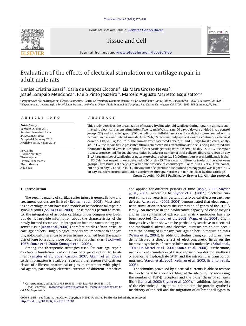 Evaluation of the effects of electrical stimulation on cartilage repair in adult male rats