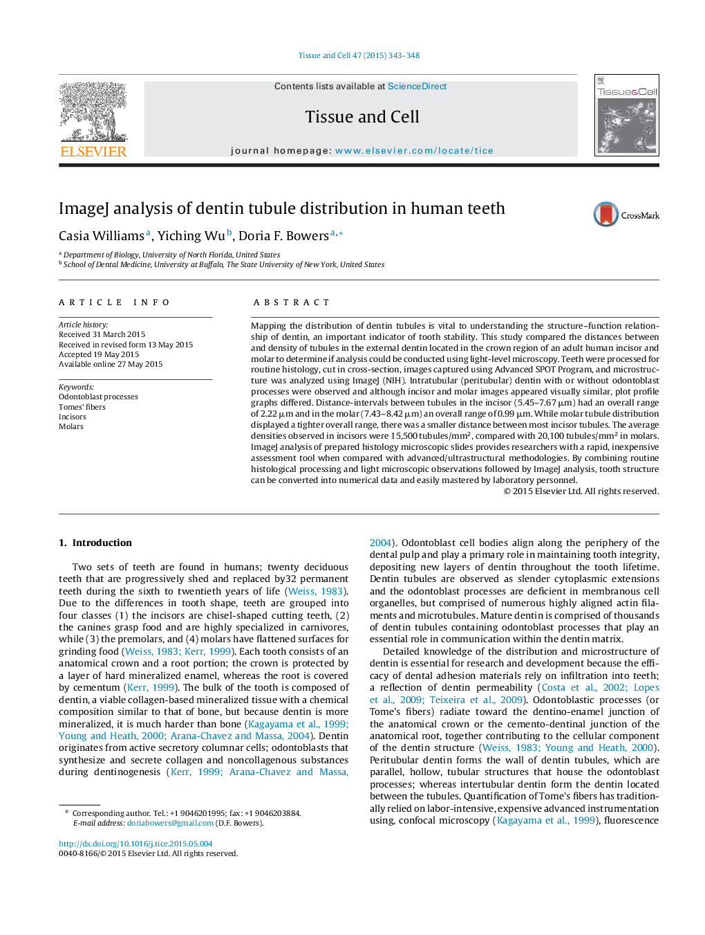 ImageJ analysis of dentin tubule distribution in human teeth