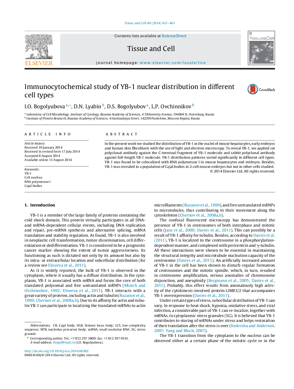 Immunocytochemical study of YB-1 nuclear distribution in different cell types